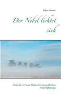 Der Nebel lichtet sich: Über die Art und Weise der menschlichen Wahrnehmung