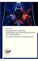 Modélisation Mécano-Biologique Par Éléments Finis de l'Os Trabéculaire