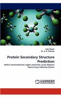 Protein Secondary Structure Prediction