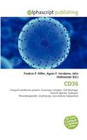 Cd36