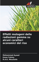 Effetti mutageni delle radiazioni gamma su alcuni caratteri economici del riso