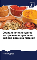 Социально-культурное восприятие и практи