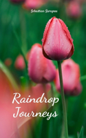 Raindrop Journeys