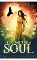 Two Parts of a Soul