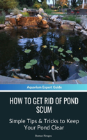 How to Get Rid of Pond Scum