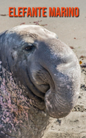 Elefante marino: Foto stupende e fatti divertenti Libro sui Elefante marino per bambini