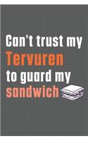 Can't trust my Tervuren to guard my sandwich: For Tervuren Dog Breed Fans