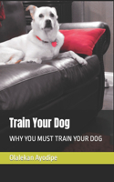 Train Your Dog: Why You Must Train Your Dog
