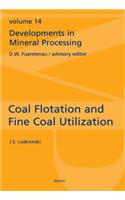 Coal Flotation and Fine Coal Utilization