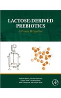 Lactose-Derived Prebiotics