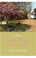 Long View from Sandy Hook's Pine Grove