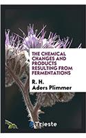 The chemical changes and products resulting from fermentations