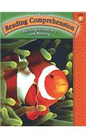 Steck-Vaughn Reading Comprehension: Student Workbook Grade 5 (Level E)