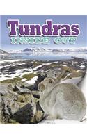 Tundras: (Ecosystems Inside Out)