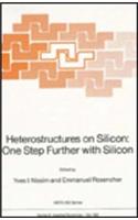 Heterostructures on Silicon: One Step Further with Silicon