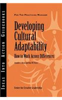 Developing Cultural Adaptability