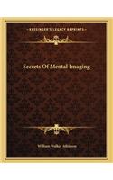 Secrets of Mental Imaging