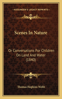Scenes In Nature