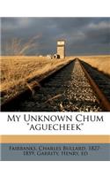 My Unknown Chum Aguecheek
