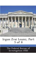 Irgun Zvai Leumi, Part 5 of 8: (English)