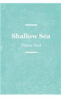 Shallow Sea
