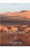 The Sahara in Algeria / UK-Version 2018