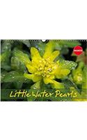 Little Water Pearls 2018: Droplets Adorn Plants and Blossoms(Calvendo Nature)