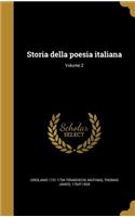 Storia della poesia italiana; Volume 2