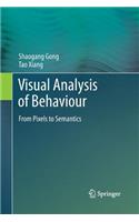 Visual Analysis of Behaviour