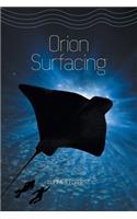 Orion Surfacing