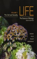 Life (Volume 1) & Launchpad 6 Month Access Card