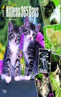 Kittens, I Love, 365 Days, 2017 Calendar