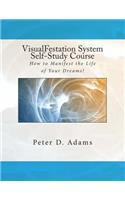 VisualFestation System Self-Study Course