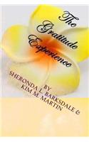Gratitude Experience