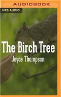 Birch Tree