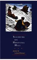 Sledding on Hospital Hill