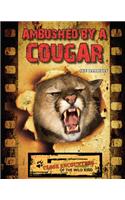 Ambushed by a Cougar