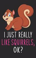 I Just Really Like Squirrels Ok?