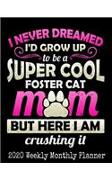 Super Cool Foster Cat Mom
