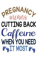 Pregnancy Means Cuttung Back Caffeine When You Need It Most: Mint Green Stripes Tracker for Newborns, Breastfeeding Journal, Sleeping and Baby Health Notebook