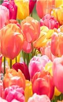 Tulip Mini Notebook: Wide Ruled, Mini Notebook, Blank Notebook, 5 X 8 Inches, Glossy Cover. Can Be Used for Gratitude Journals, Goal Lists, Passwords, and Diaries. Small