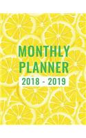 2018 2019 planner monthly plan: Two Years Agenda Schedule Yellow Lime Lemon Organizer Logbook Diary and Journal