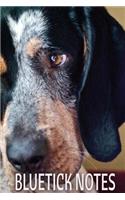 Bluetick Notes