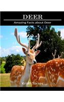 Amazing Facts about Deer