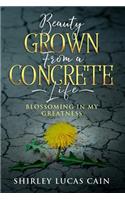 Beauty Grown from a Concrete Life