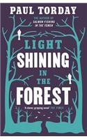 Light Shining in the Forest