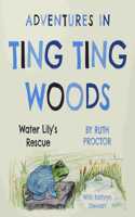 Adventures in Ting Ting Woods