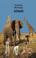 World's Most Popular Animals Children's Book