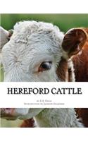 Hereford Cattle