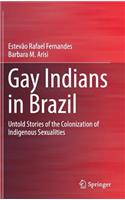 Gay Indians in Brazil